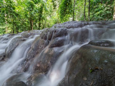 Yağmur ormanlarındaki şelaleler boldur..