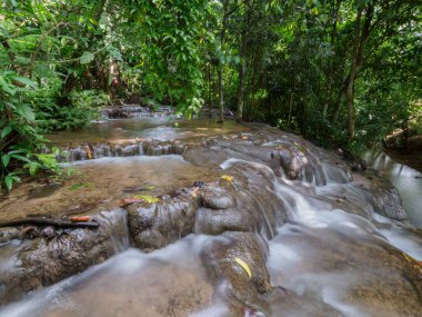 Yağmur ormanlarındaki şelaleler boldur..