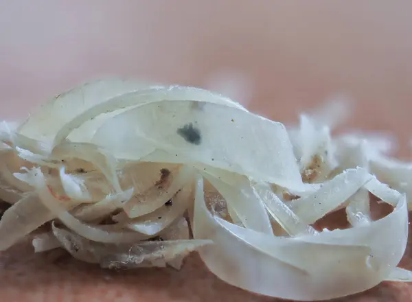 stock image Clipped fingernails and toenails piled up in clumps.