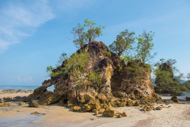 Koh Phayam 'da güzel bir ada.