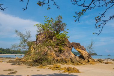 Koh Phayam 'da güzel bir ada.