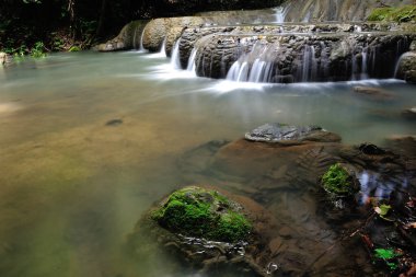 Yağmur ormanlarındaki şelaleler boldur..