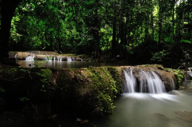 Yağmur ormanlarındaki şelaleler boldur..