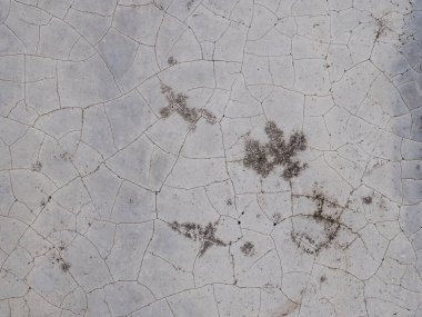 Eski bir beton duvarın yüzeyinde çatlak izleri var.