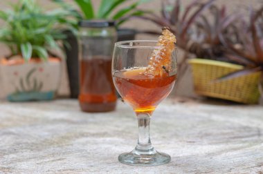 Vahşi bal, doğal organik yiyecek, cam bir şişede.