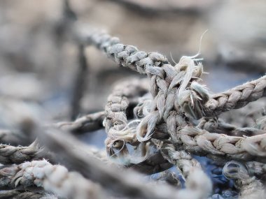 Eski püskü naylon ağ halatı