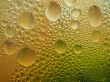 Taze narenciye japonica thunb kahve.