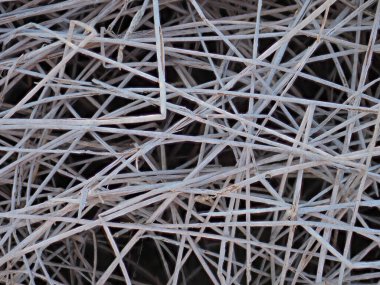 Açık arazide kuru çimenler.