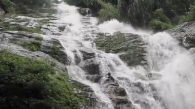 Tad Fa Şelalesi ve Nong Khai dağlarındaki ormanların zengin doğası.
