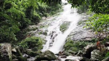 Tad Fa Şelalesi ve Nong Khai dağlarındaki ormanların zengin doğası.
