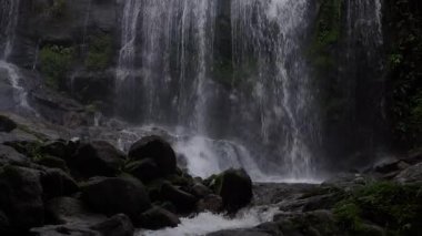 Tad Fa Şelalesi ve Nong Khai dağlarındaki ormanların zengin doğası.