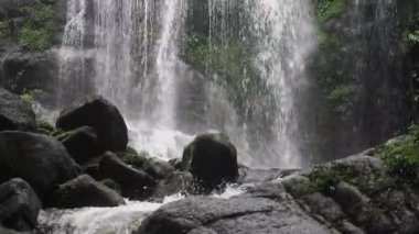 Tad Fa Şelalesi ve Nong Khai dağlarındaki ormanların zengin doğası.