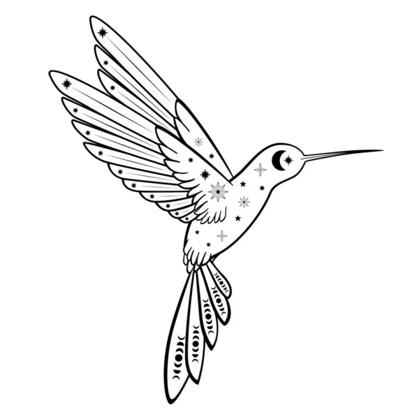 Hand Drawn Mystical Flying Hummingbird Moon Star Line Art Magic — Stock Vector