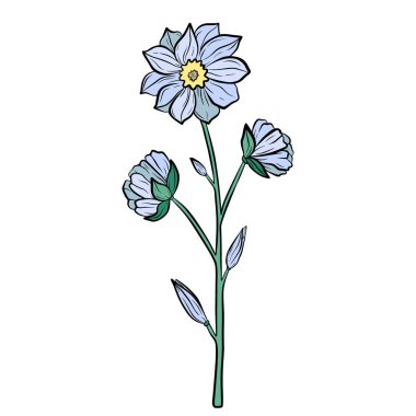 Hand drawn flower isolated on white background. Botanical decorative doodle sketch illustration for greeting card, wedding invitation, fabric. Colorful vector floral element.