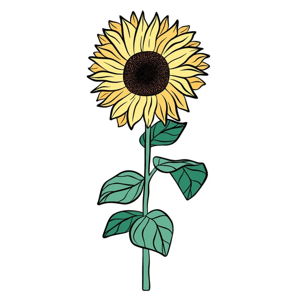 Hand Drawn Yellow Sunflower Isolated White Background Botanical Decorative Doodle — Image vectorielle