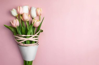 Pembe ve beyaz lalelerin kompozisyonu, pembe arka planda kurdeleler. Lale buketi, bahar çiçekleri. Doğum günü için içerik, Sevgililer Günü, Kadınlar Günü. Düz yat, üst görünüm, kapat, boşluğu kopyala