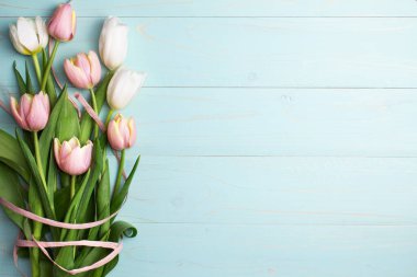 Pembe ve beyaz lalelerin bileşimi, mavi ahşap arka planda kurdeleler. Lale buketi, bahar çiçekleri. Doğum günü için içerik, Sevgililer Günü, Kadınlar Günü. Düz yat, üst görünüm, kapat, boşluğu kopyala