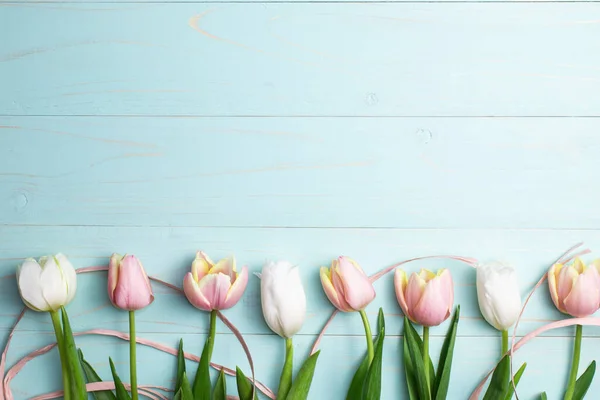 Composition of pink and white tulips, ribbons on a blue wooden background. Tulips in a line, spring flowers. Content for Birthday, Valentines Day, Womens day. Flat lay, top view, close up, copy space