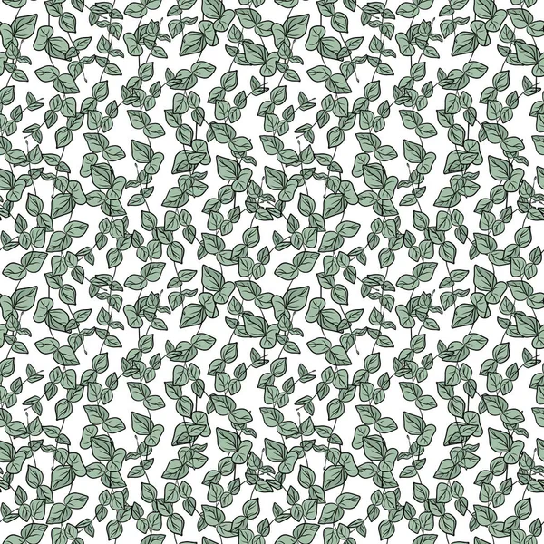 手绘桉树枝条和绿叶的无缝图案 热带草本植物 背景为白色 包装纸夏季装饰图解 — 图库矢量图片