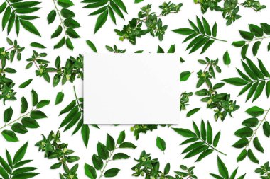 Beyaz zemin üzerinde yeşil yapraklar ve beyaz suluboya kağıtlardan oluşan bir kompozisyon. Yapraklı ağaç dalları, boş kart. Doğa modeli, ekoloji posteri. Üst görünüm, düz görünüm, kapat, boşluğu kopyala