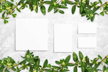 Yaprakların bileşimi ve gri beton arka planda beyaz suluboya kağıtlar. Yapraklı ağaç dalları, boş kartlar. Doğa modeli, ekoloji posteri. Üst görünüm, düz görünüm, kapat, boşluğu kopyala