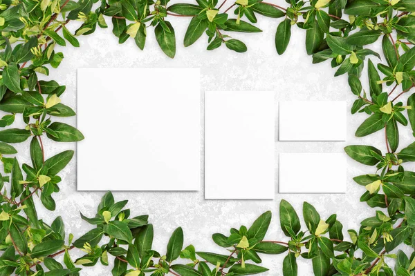 stock image Composition of leaves and white watercolor sheets of paper on gray concrete background. Tree branches with leaves, blank cards. Nature mockup, ecology poster. Top view, flat lay, close up, copy space