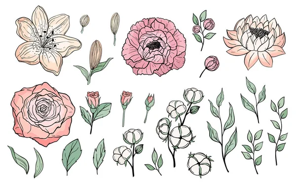 Çizimi Renkli Çiçekler Yapraklı Dallar Şakayık Gül Zambak Nilüfer Pamuk — Stok Vektör