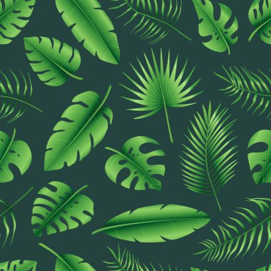 Farklı tropik palmiye yaprakları, orman canavarları, muz yaprakları. Egzotik yeşil bitki koleksiyonu. Tebrik kartı, duvar kağıdı, ambalaj kağıdı, kumaş için botanik vektör çizimi