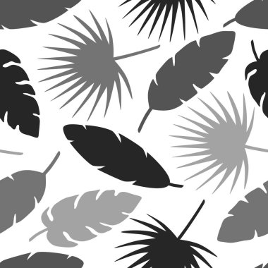 Kusursuz tropikal palmiye yaprakları, muz, palmat yaprakları. Siluet bitkisinin egzotik koleksiyonu. Tebrik kartı, duvar kağıdı, ambalaj kağıdı ve kumaş için el çizimi botanik vektör çizimi