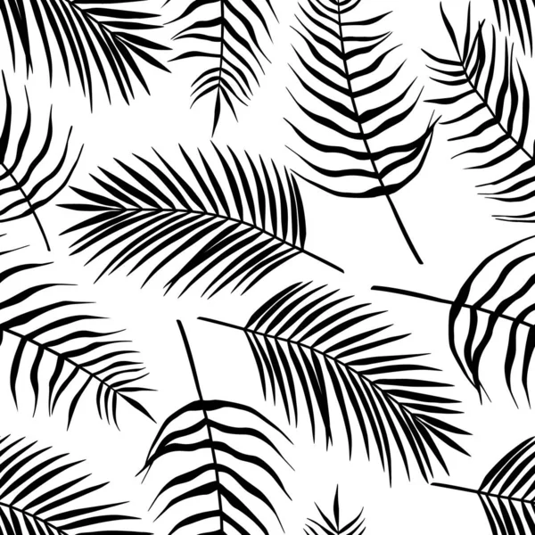 Seamless Pattern Tropical Leaves Palm Tree Arecaceae Leaf Exotic Collection — Stock Vector