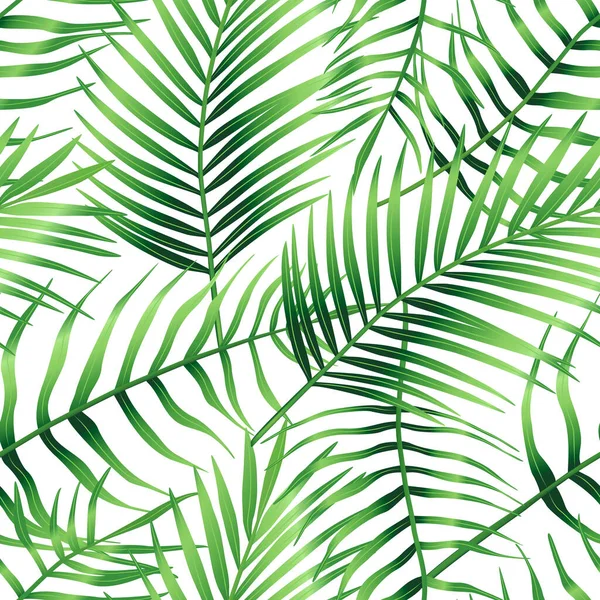 Patrón Inconsútil Hojas Tropicales Palmera Hoja Arecaceae Colección Exótica Planta — Vector de stock
