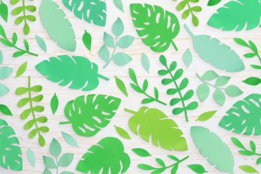 Kesilmiş kağıt tropikal palmiye yaprakları, canavar ve muz yapraklarından oluşmuş. El yapımı doğa modeli, beyaz ahşap arka planda izole edilmiş yaz sanat koleksiyonu. Üst görünüm, düz görünüm, tam kaplama, kapat