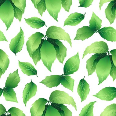 Yeşil yaprakların ve dalların kusursuz deseni. Dekoratif bitki koleksiyonu. Tebrik kartı, davetiye, duvar kağıdı, ambalaj kağıdı, kumaş için el çizimi botanik vektör çizimi