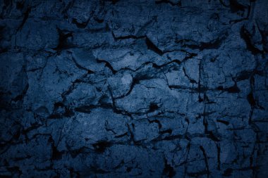 Mavi ağaç kabuğu, gövdesi, kömürü, taş zemini. Kaba çatallı siyah duvar kâğıdı. Boş grunge duvar konsepti, zemin zemin zemin. Soyut yüzey modeli. Üst görünüm, kapat, boşluğu kopyala