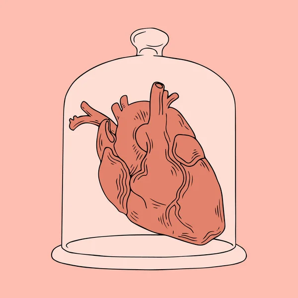 Vektor Handgezeichnete Illustration Des Menschlichen Herzens Glaskappe Kreative Kunstwerke Vorlage — Stockvektor