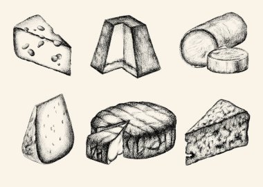 Rokfor peyniri, peynir, keçi, morbier, kont, grana padano, valencay, küflü mavi peynir. Kart, poster, afiş, tişört için baskı şablonu.