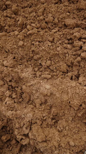 Closeup of macro view of red dirt or mud of pile soil from agriculture land. Soil Background with Text Space. Full frame texture Natural pattern