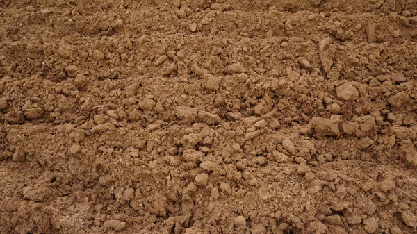 Closeup of macro view of red dirt or mud of pile soil from agriculture land. Soil Background with Text Space. Full frame texture Natural pattern