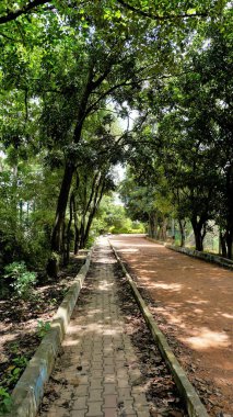 Agara Gölü 'nün yürüme yolunun portresi. İyi korunmuş göller ve Varthur göl serisinin bir kısmı Agara 'da yer alan 80 dönümlük bir göldür..
