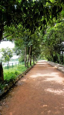 Agara Gölü 'nün yürüme yolunun portresi. İyi korunmuş göller ve Varthur göl serisinin bir kısmı Agara 'da yer alan 80 dönümlük bir göldür..
