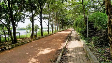 Agara Gölü 'nün yürüyüş yolunun manzarası. İyi korunmuş göl ve Varthur gölü serisinin bir kısmı Agara 'da yer alan 80 dönümlük bir göldür..