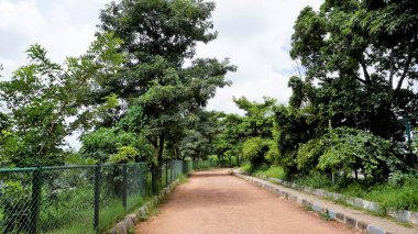 Agara Gölü 'nün yürüyüş yolunun manzarası. İyi korunmuş göl ve Varthur gölü serisinin bir kısmı Agara 'da yer alan 80 dönümlük bir göldür..