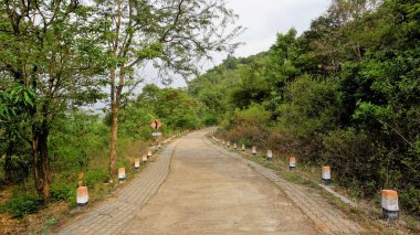 Avalabetta tepesine yürüyüş ya da yürüyüş rotası Chikaballapur 'da doğal yeşil tepe ile çevrili. Huzurlu Yolculuk İçin Resimli Bir Yer.