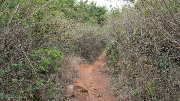 stock image Hiking or trekking route to Avalabetta peak located in Chikaballapur with natural hilly green surrounding. Picturesque Place to Trek in Serenity.