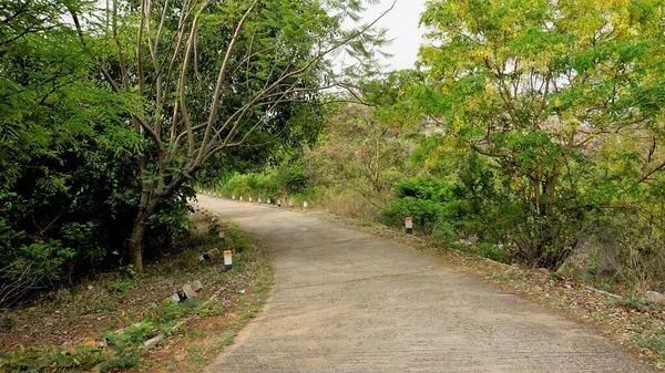 Caminhadas Trekking Rota Para Avalabetta Pico Localizado Chikaballapur Com Natural — Fotografia de Stock