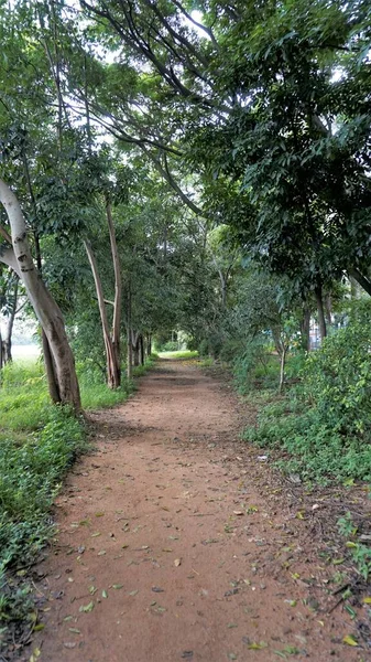 肖像画風景美しい緑豊かな緑のカバーは BtmまたはMadiwalaでレーンレイクビューを歩く 朝と夕方のウォーキングやジョギングに最適な場所 — ストック写真