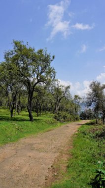 Arka planda Kodiakanal manzaralı güzel bir orman yolu manzarası. Mobil biçim duvar kağıdı resimleri