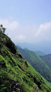 Sis ve bulutlu gökyüzü ile dolu güzel, gür, yeşil kodaikanal tepe manzaraları. Tepeden manzara görünümü.