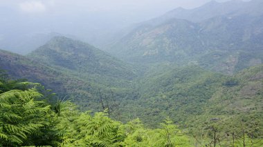 Sis ve bulutlu gökyüzü ile dolu güzel, gür, yeşil kodaikanal tepe manzaraları. Tepeden manzara görünümü.