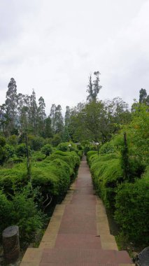 Chettiar Park 'ın güzel manzaralı bahçesi, Kodaikanal. Her yeri yemyeşil ve nefis manzaralarla kaplıydı..